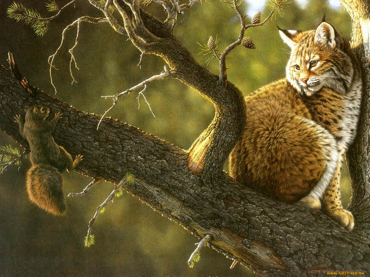 рисованные, животные, рыси