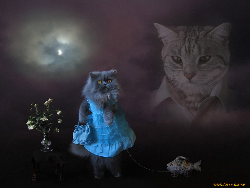 девичьи, мечты, ирина, михайлова, разное, компьютерный, дизайн