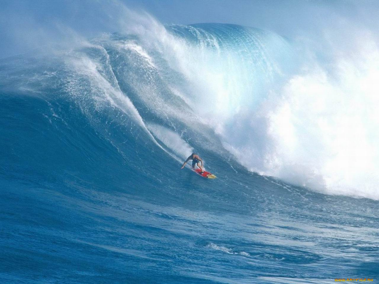 спорт, серфинг