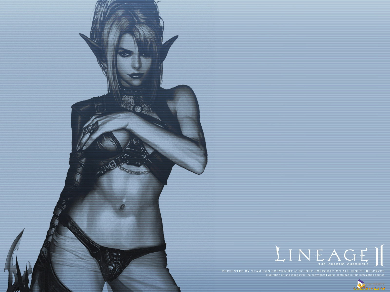 видео, игры, lineage, ii, the, chaotic, throne, gracia