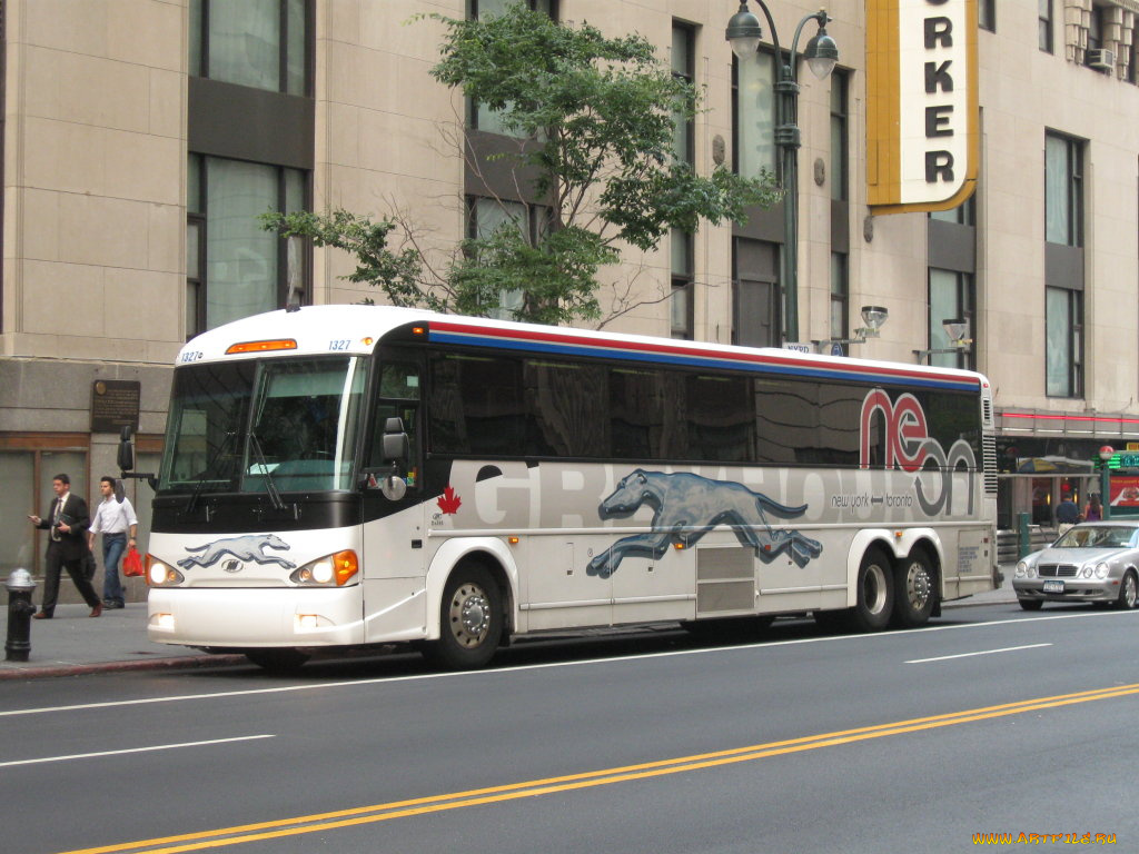 автомобили, автобусы