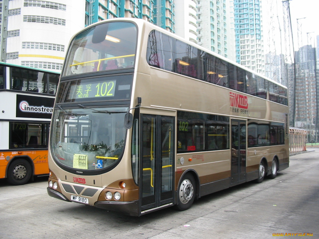 автомобили, автобусы