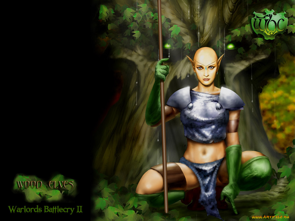 warlords, battlecry, ii, видео, игры