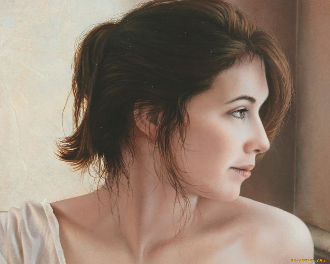 pascal, choveby, рисованные