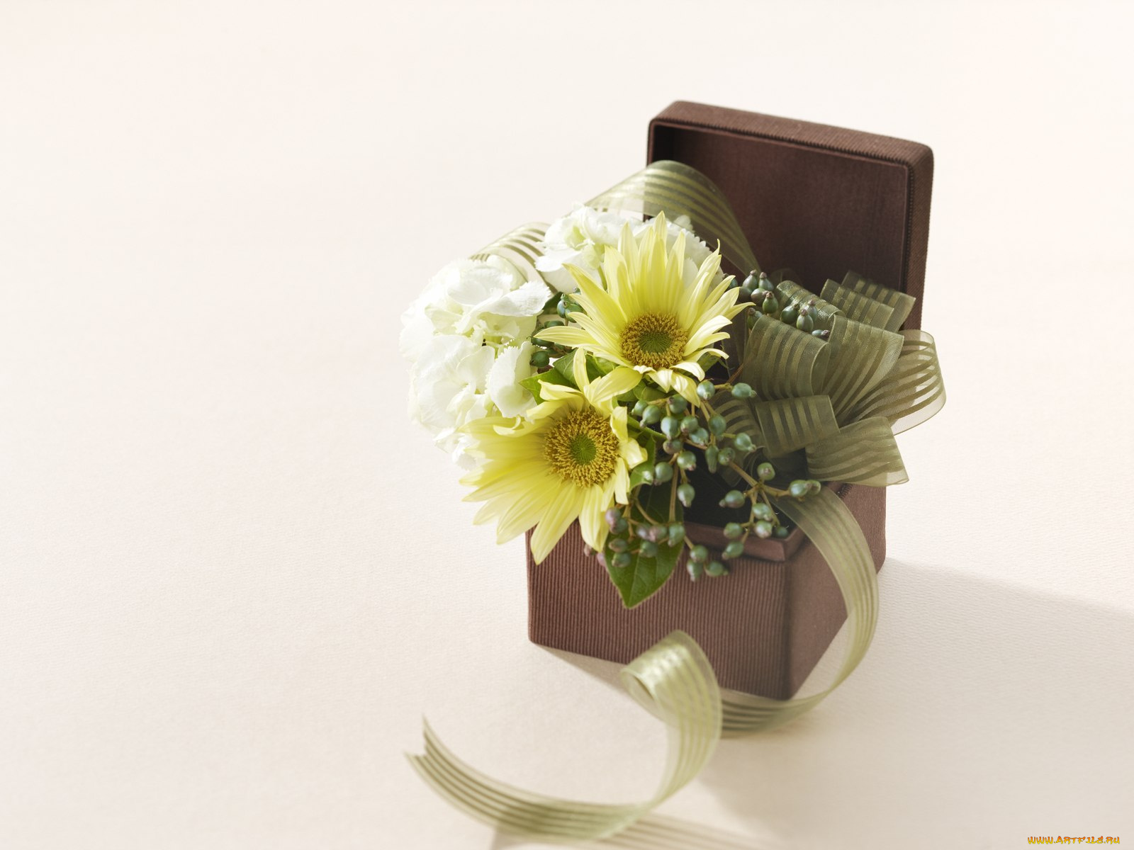 цветы, букеты, композиции