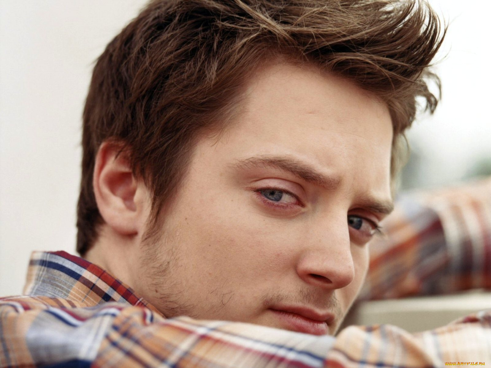 elijah, wood, мужчины