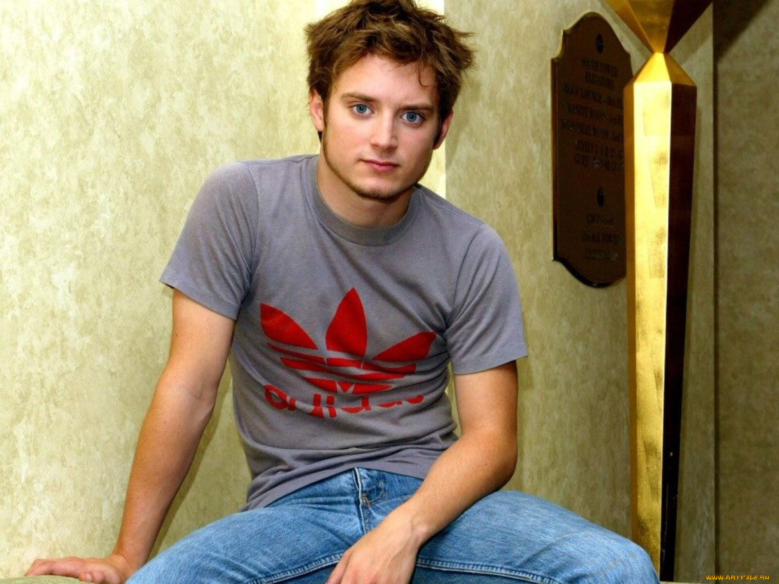 elijah, wood, мужчины