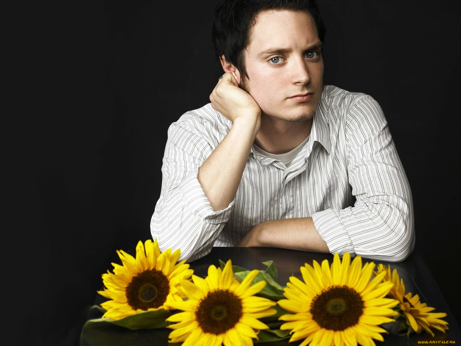 elijah, wood, мужчины