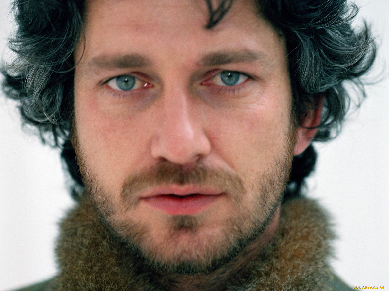 gerard, butler, мужчины