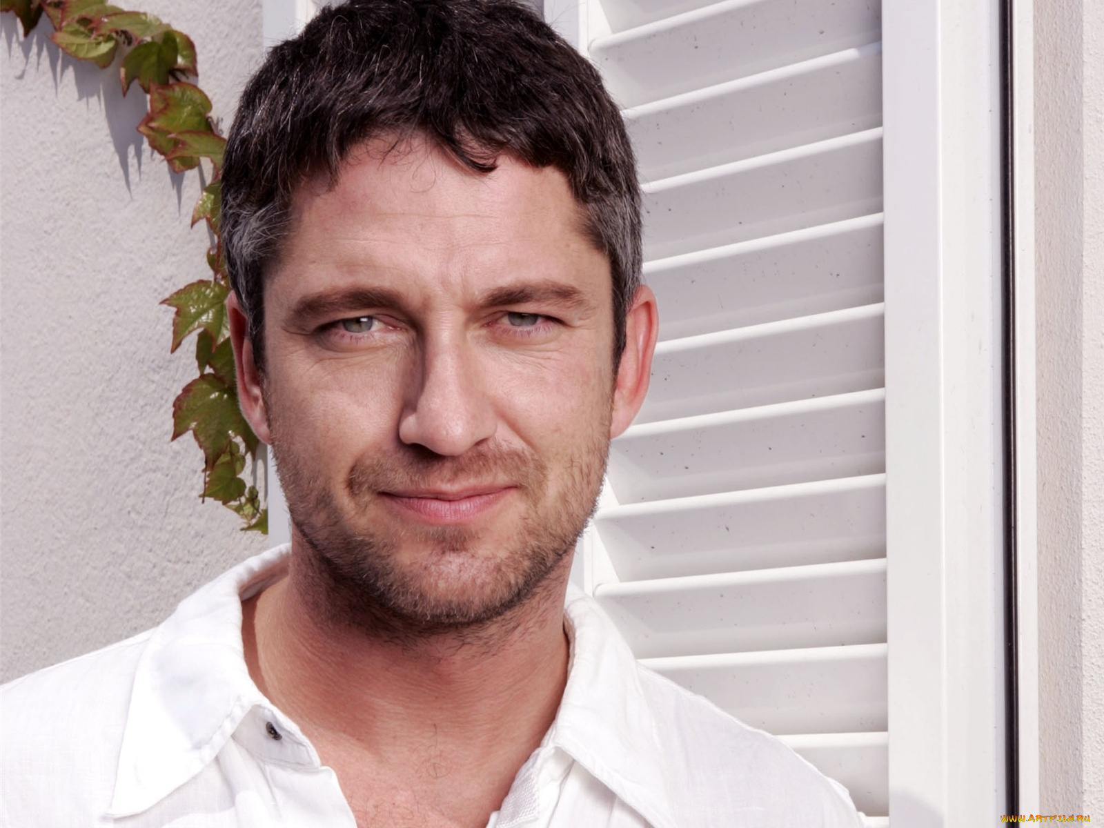 gerard, butler, мужчины
