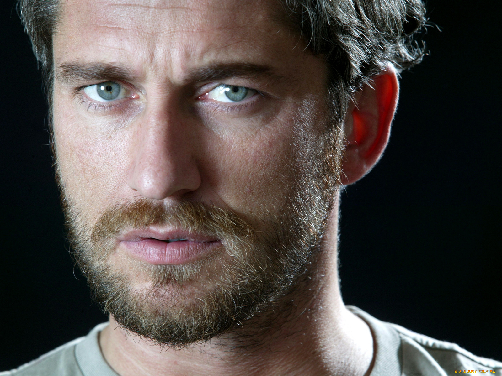 gerard, butler, мужчины