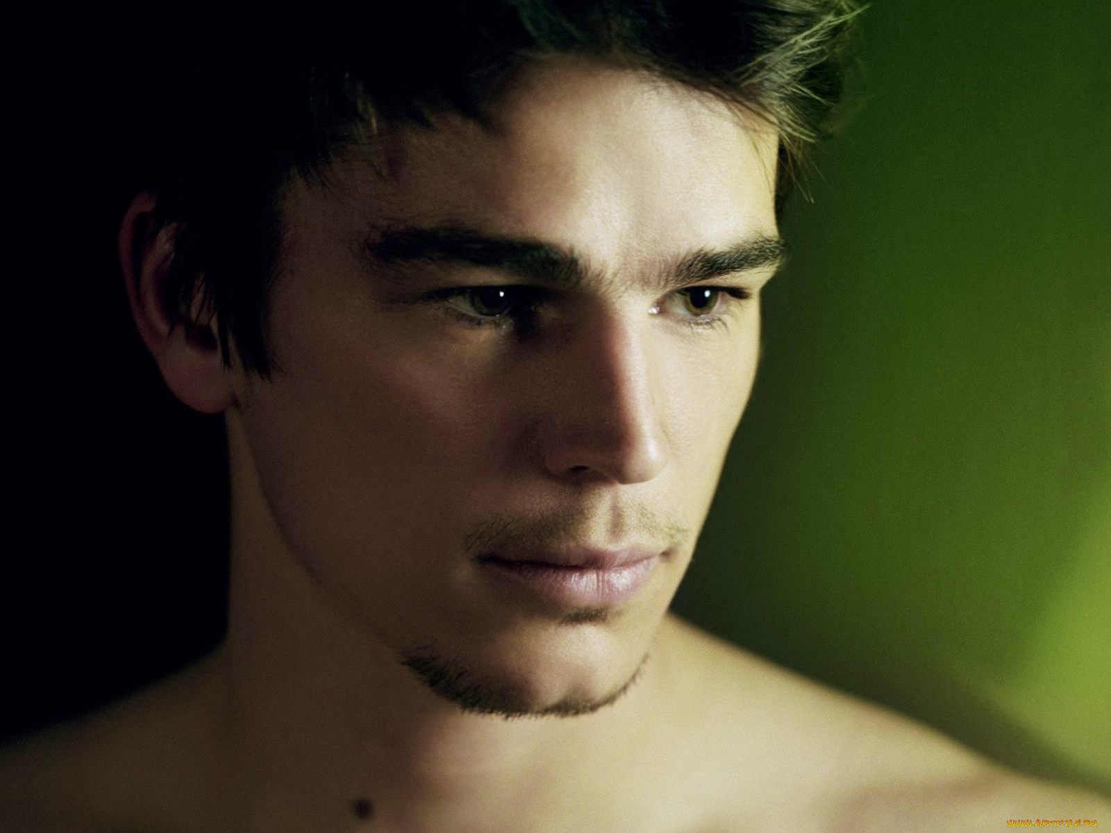 josh, hartnett, мужчины