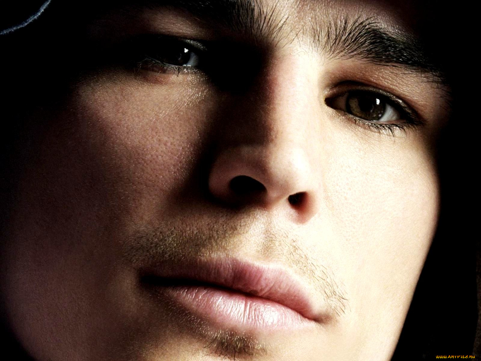 josh, hartnett, мужчины