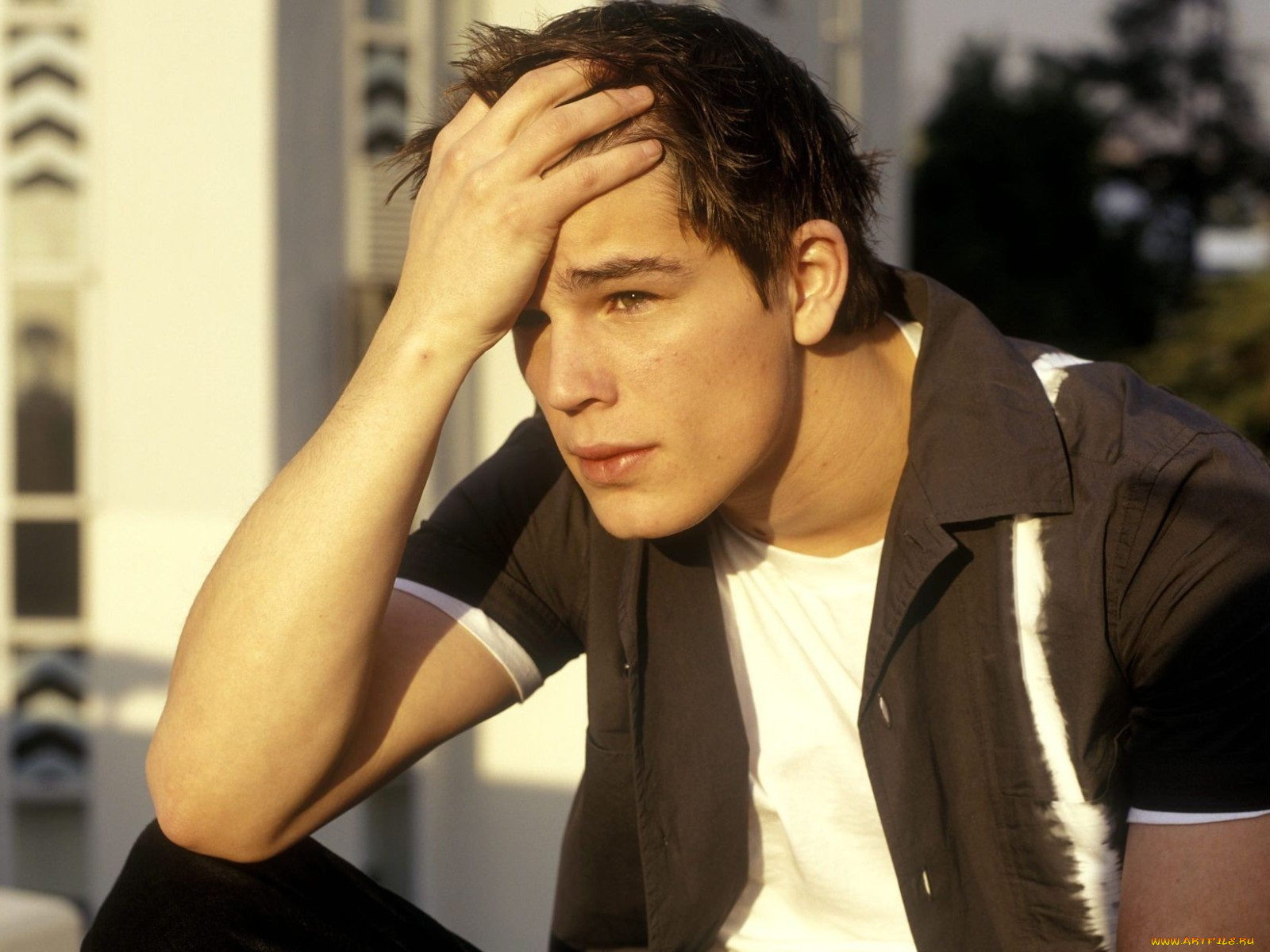 josh, hartnett, мужчины