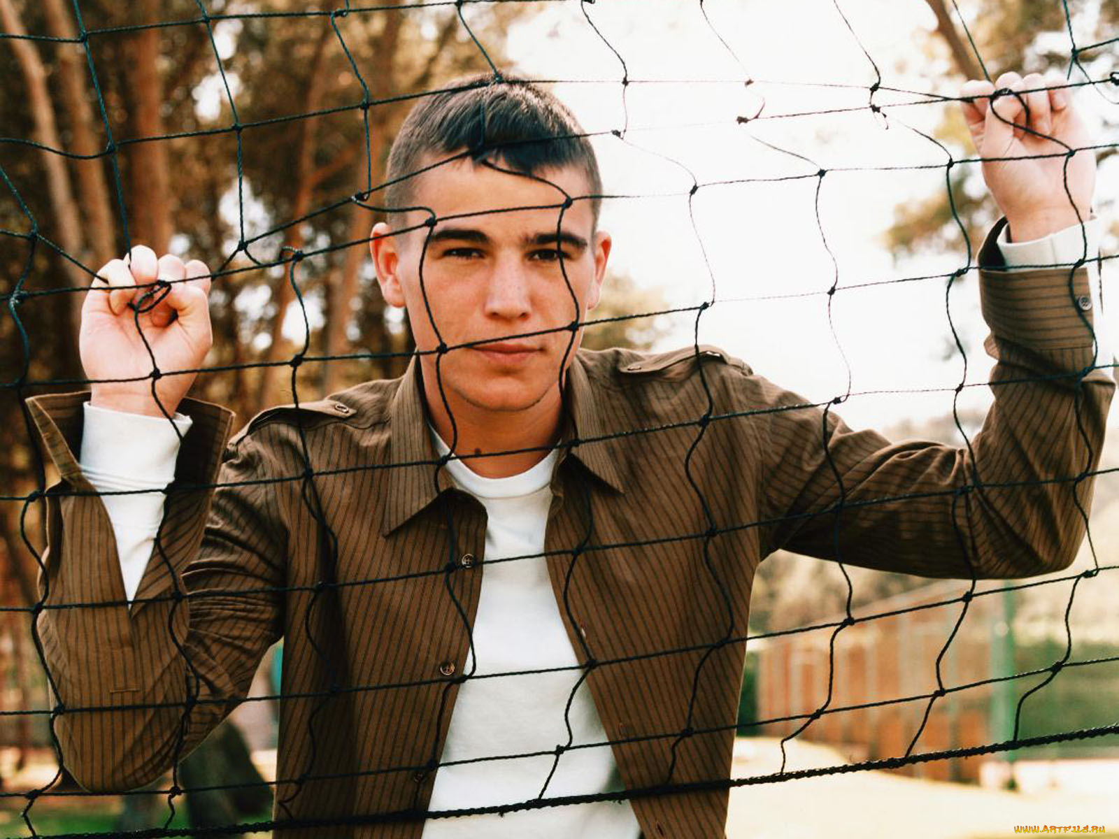 josh, hartnett, мужчины