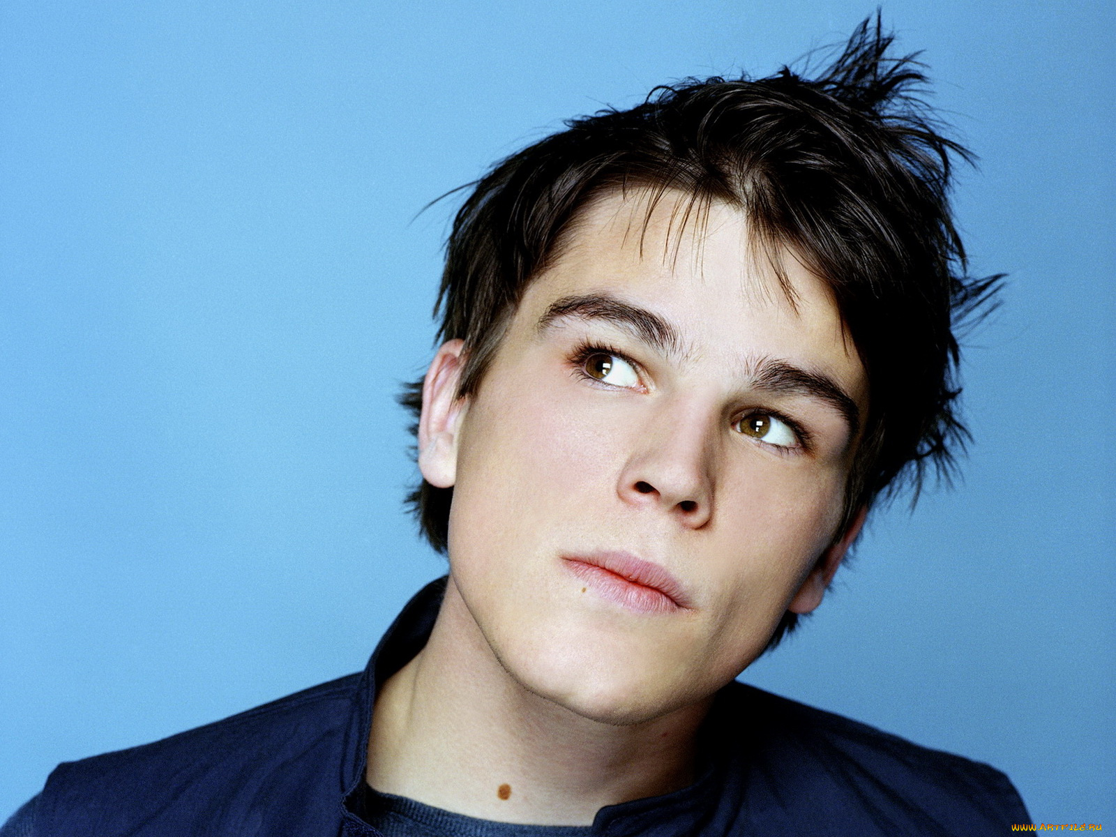 josh, hartnett, мужчины