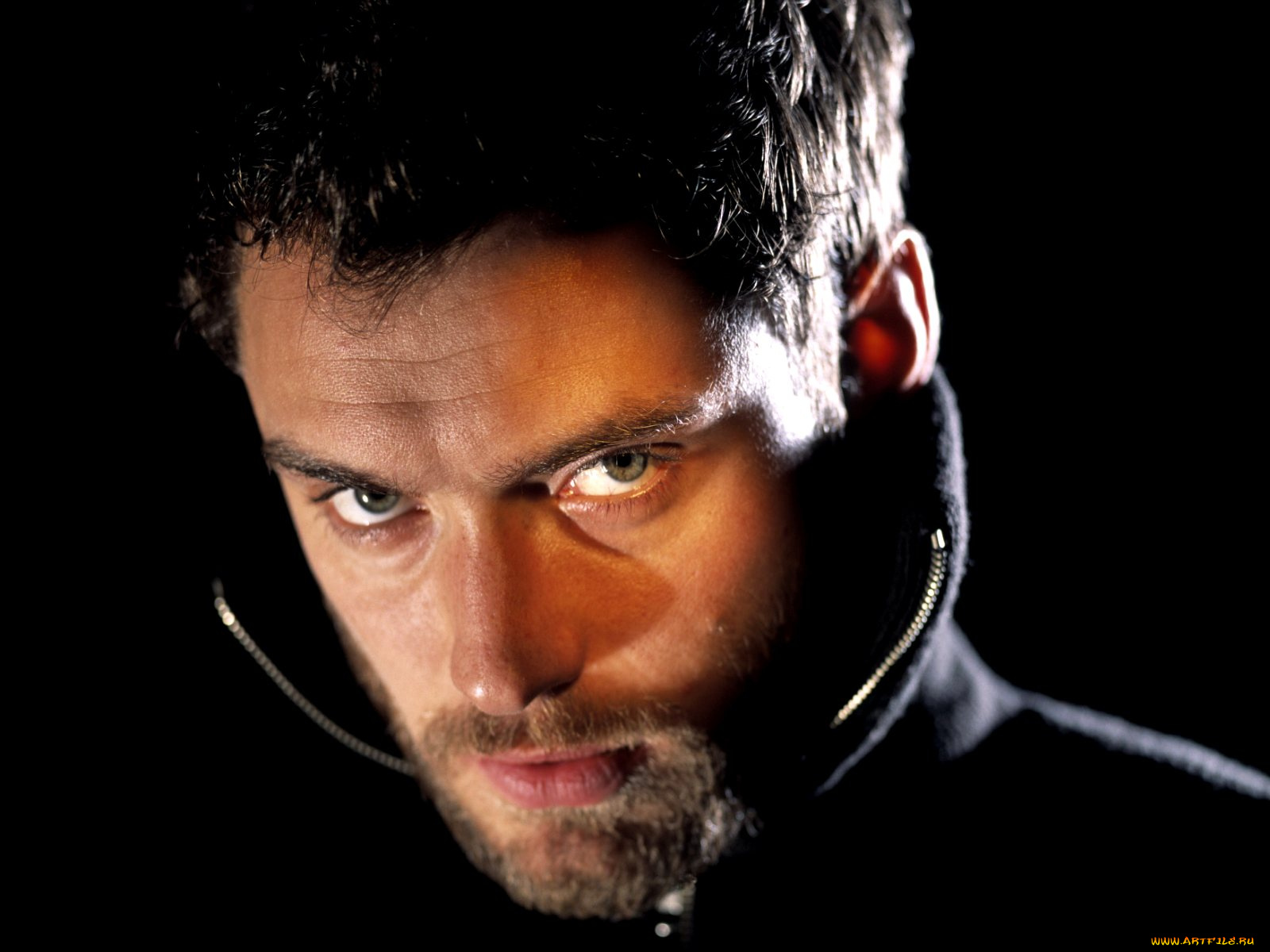 jude, law, мужчины