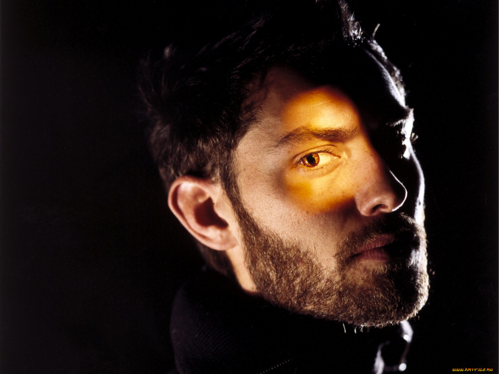 jude, law, мужчины