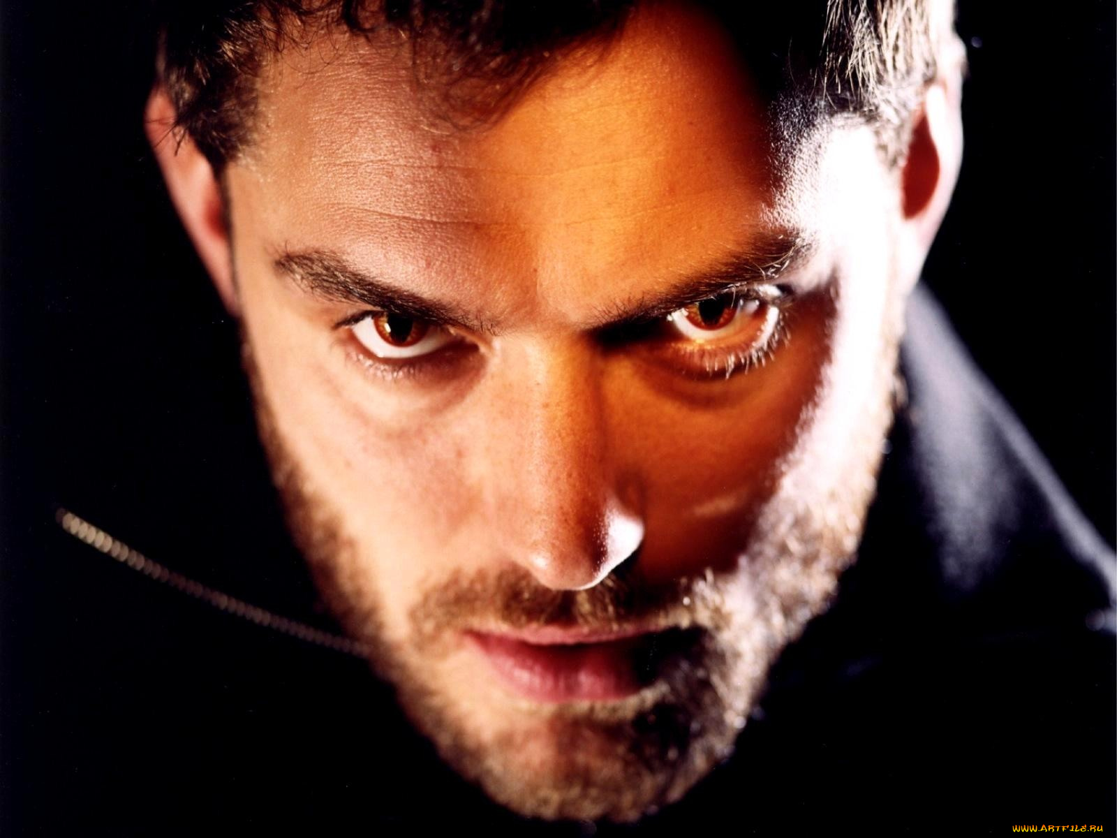 jude, law, мужчины