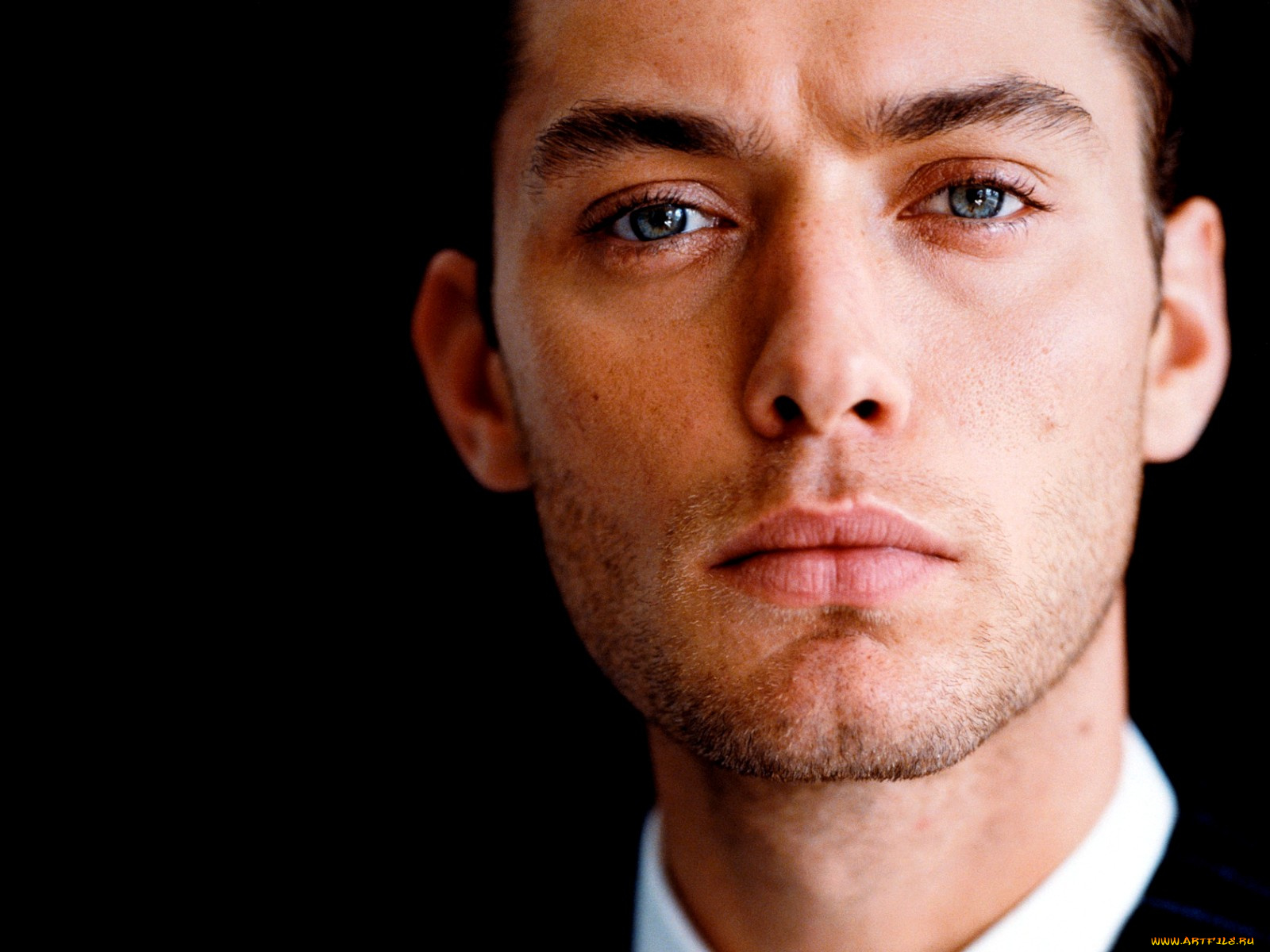 jude, law, мужчины