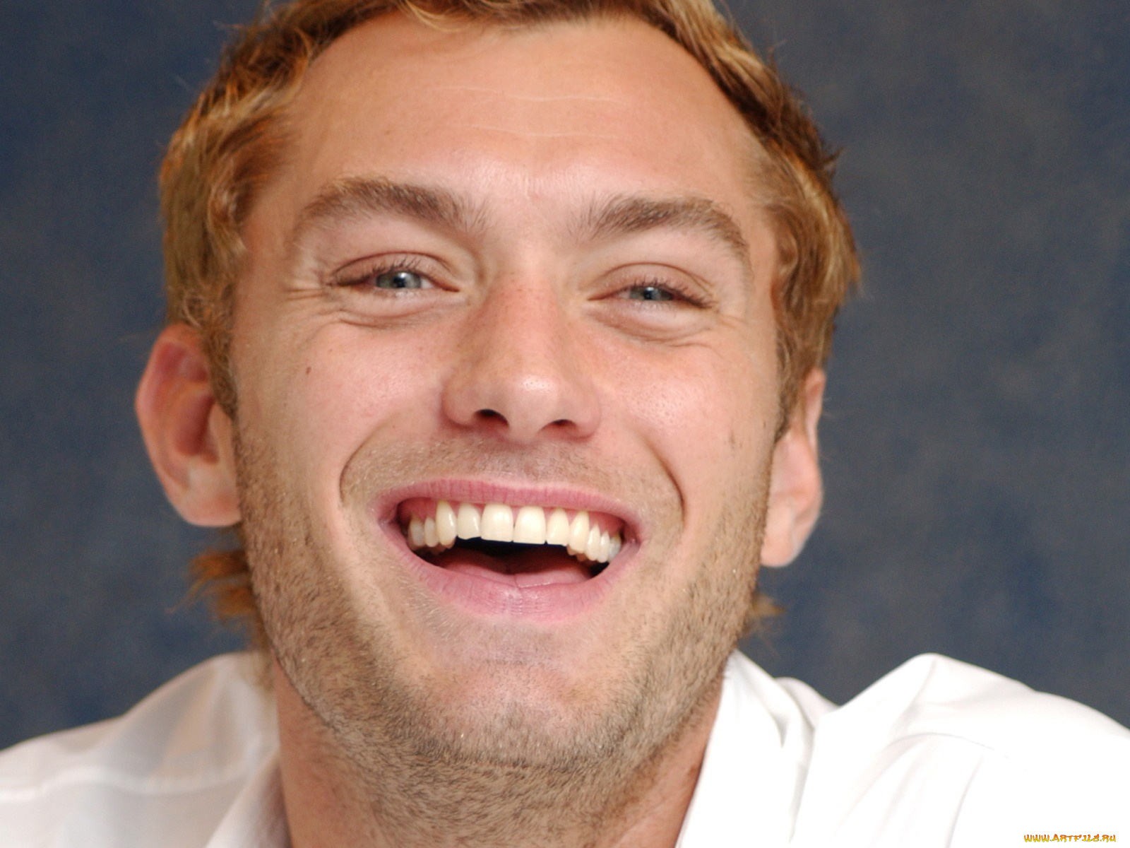 jude, law, мужчины