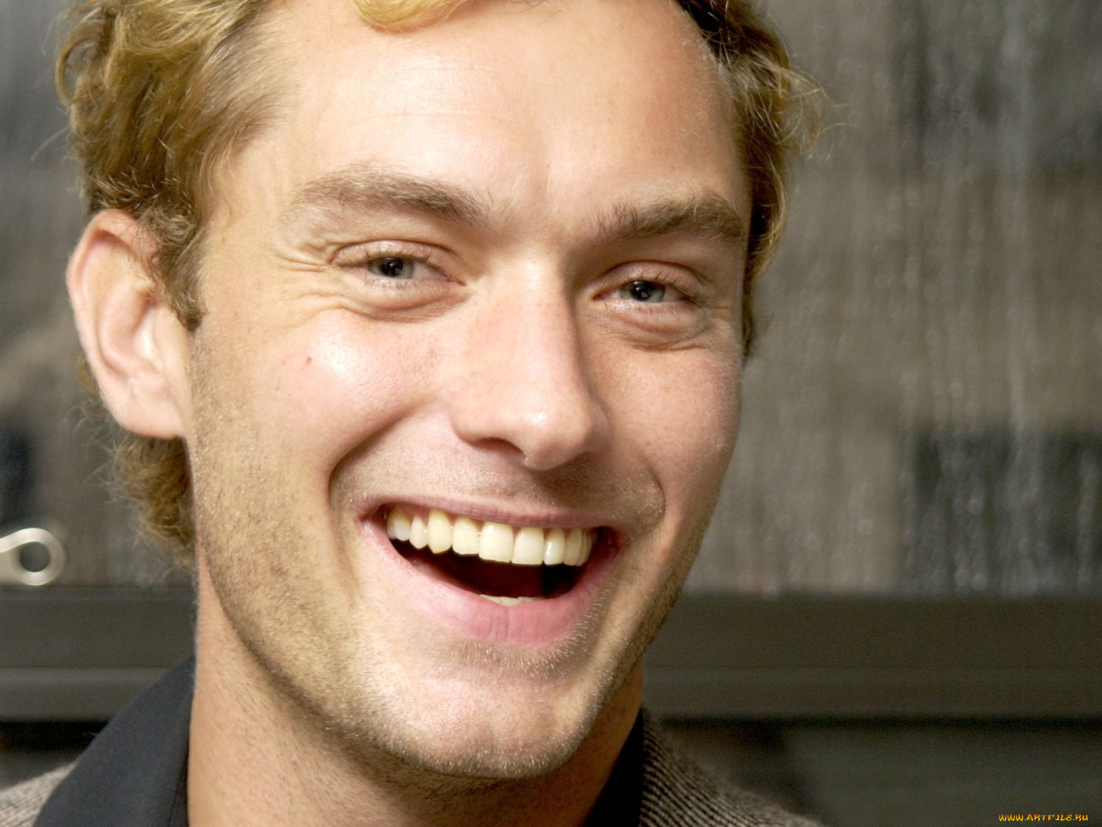 jude, law, мужчины