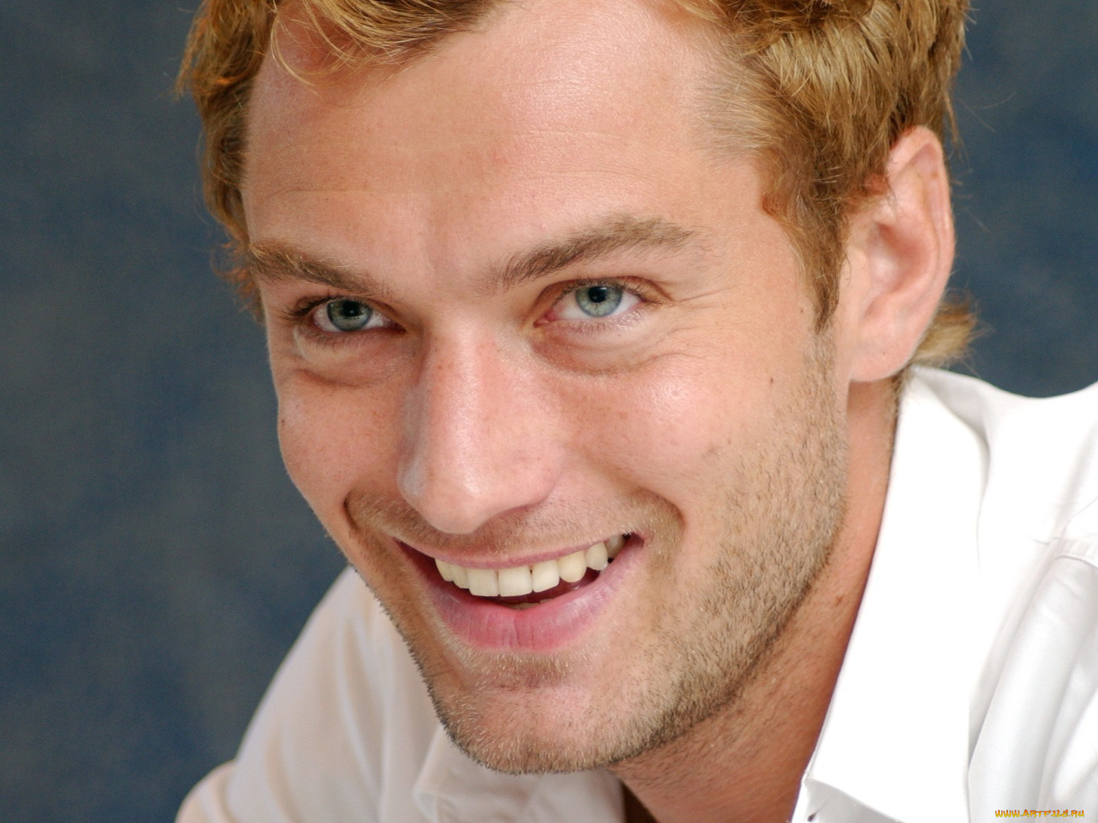 jude, law, мужчины