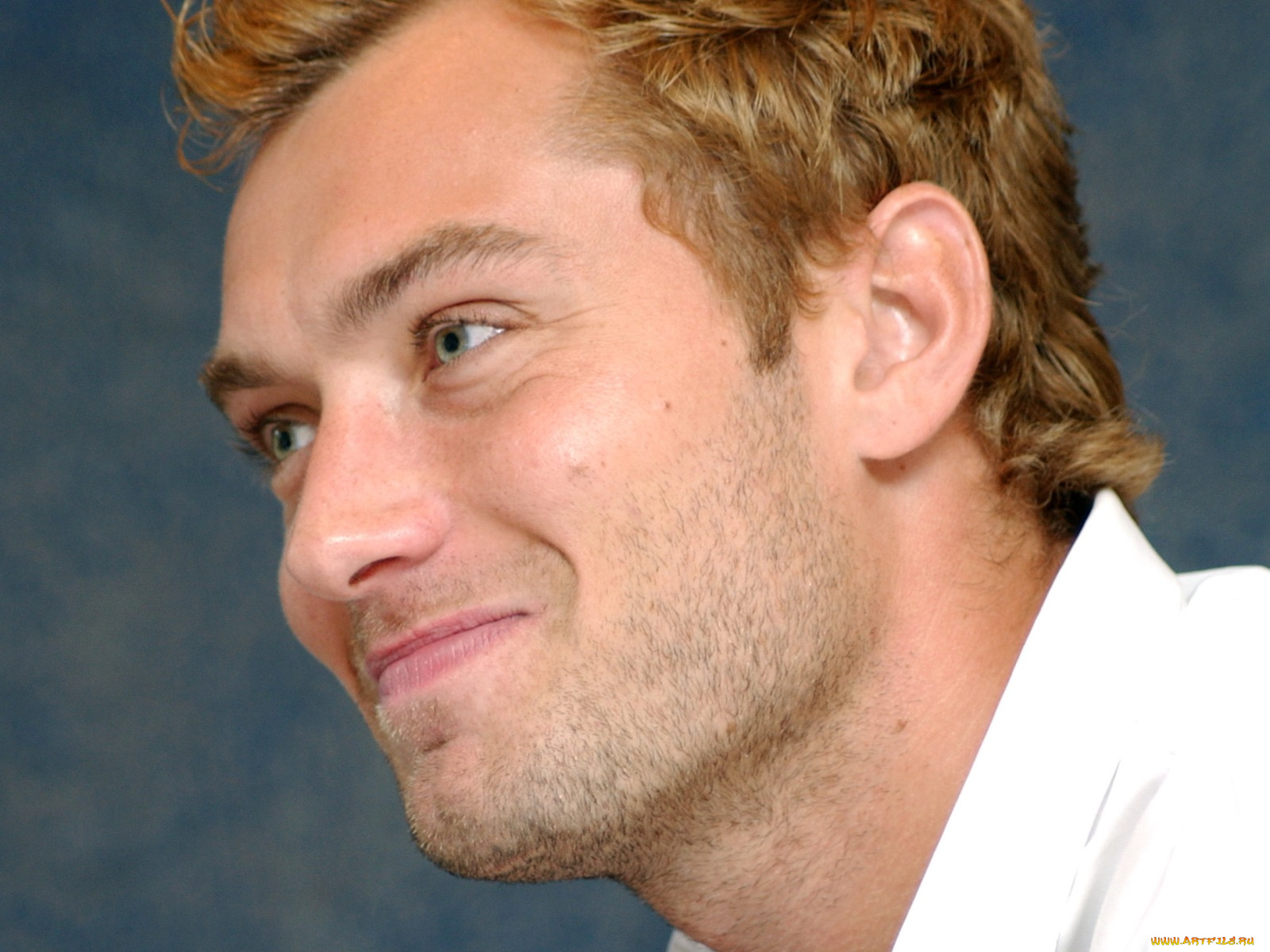 jude, law, мужчины