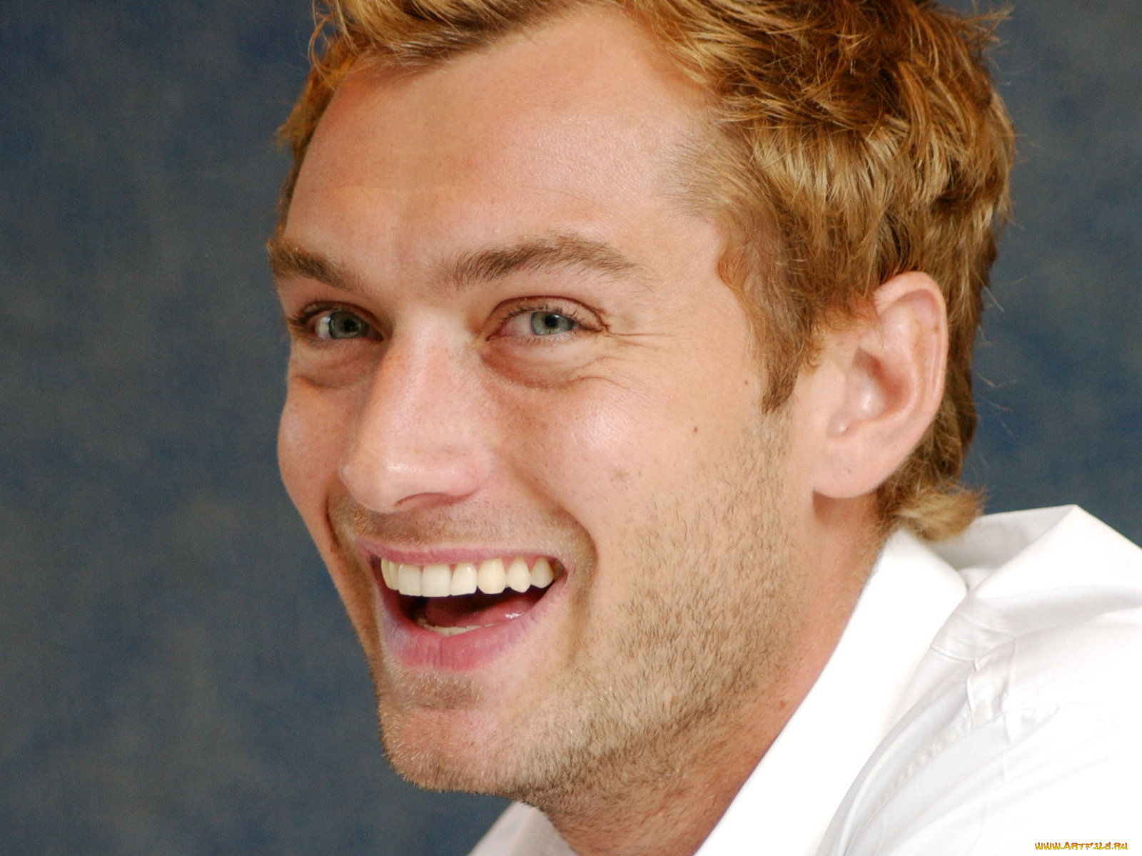 jude, law, мужчины