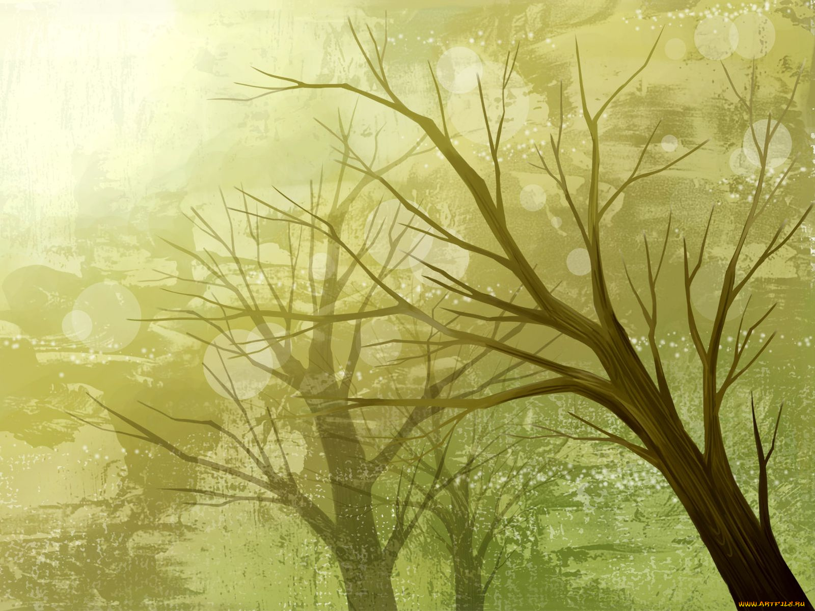 векторная, графика