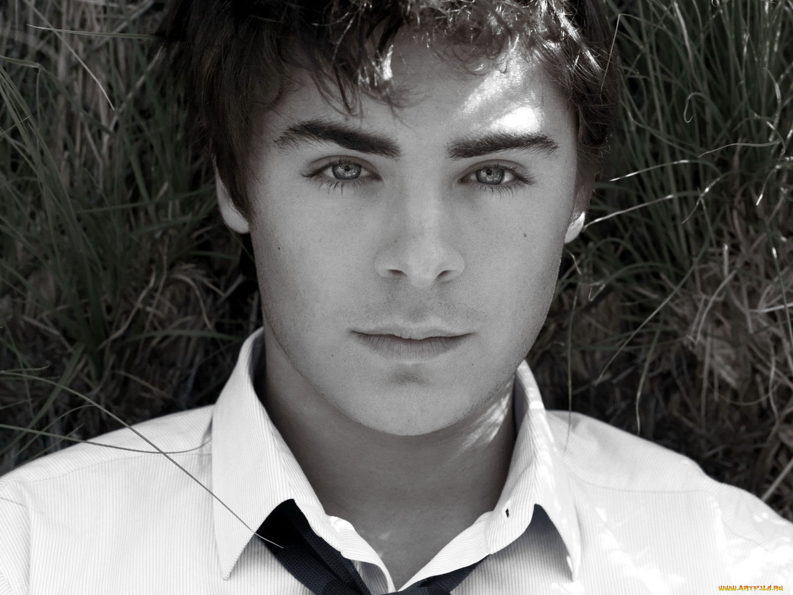 zac, efron, мужчины