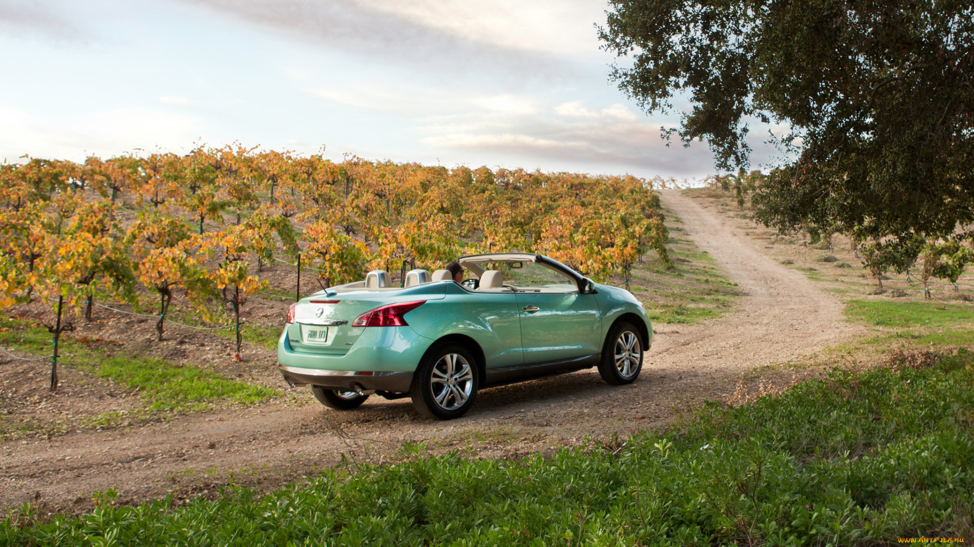 murano, crosscabriolet, 2011, автомобили, nissan, datsun