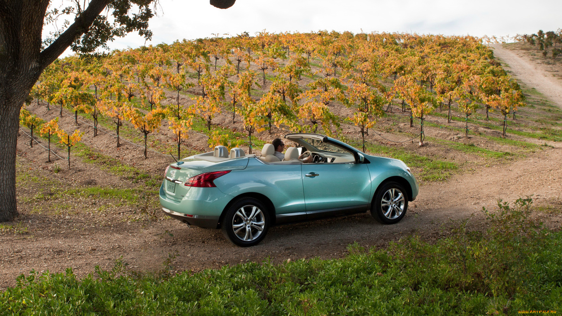 murano, crosscabriolet, 2011, автомобили, nissan, datsun