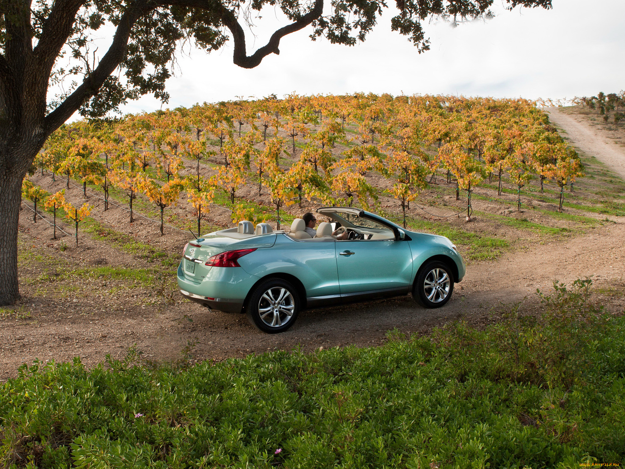 murano, crosscabriolet, 2011, автомобили, nissan, datsun