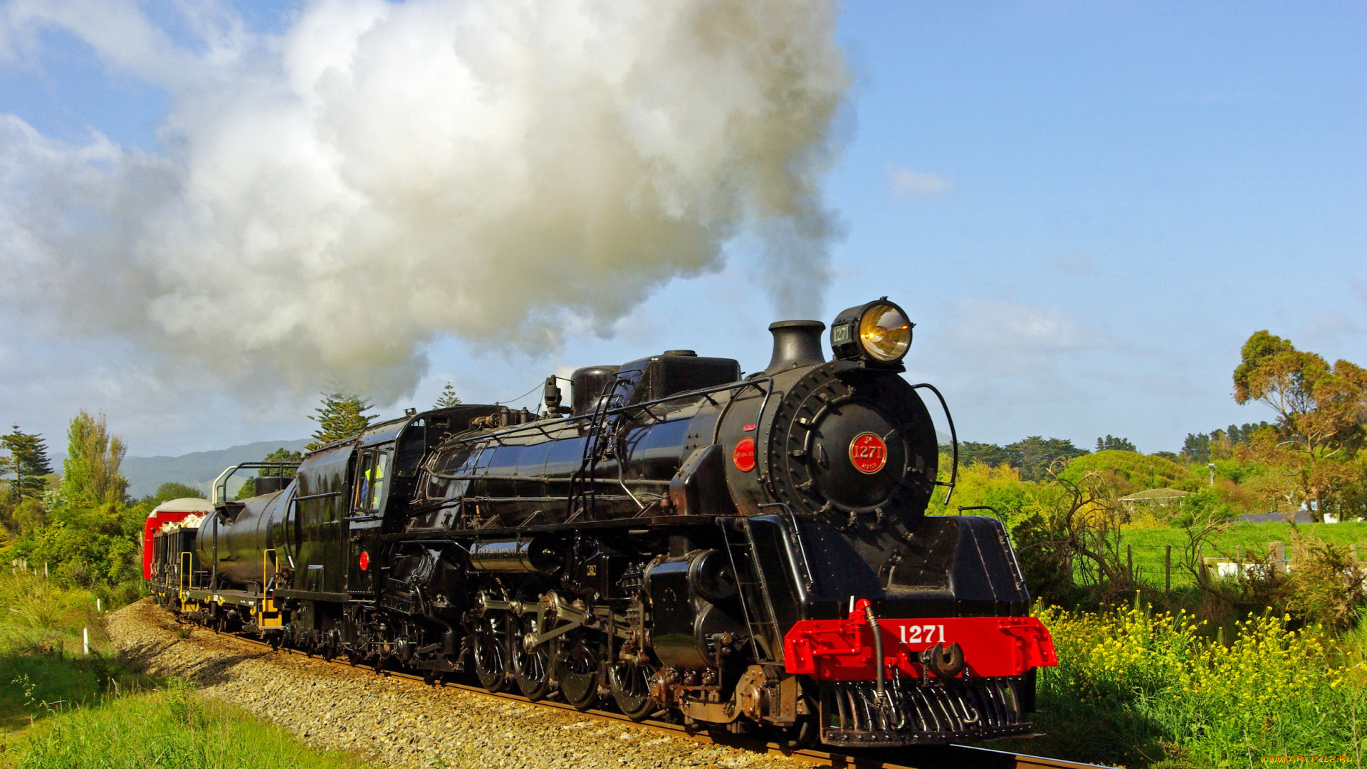 техника, паровозы, дорога, лес, паровоз