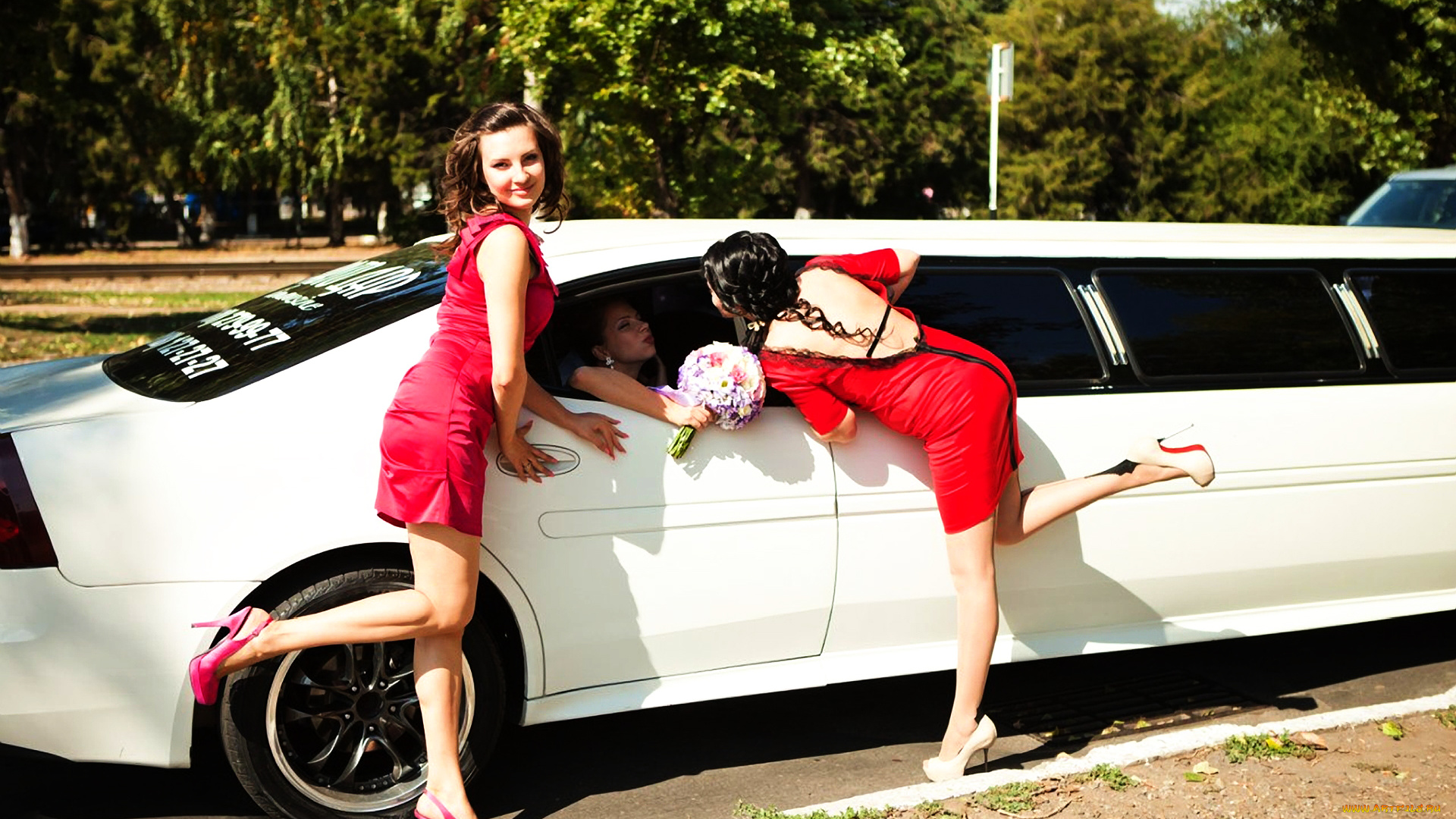автомобили, -авто, с, девушками, анастасия, бутко