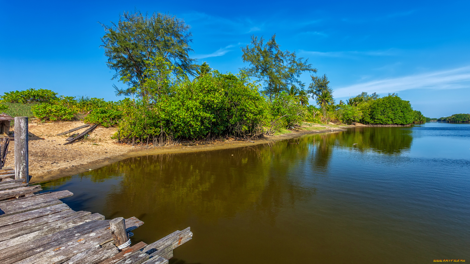 природа, реки, озера, река, лес