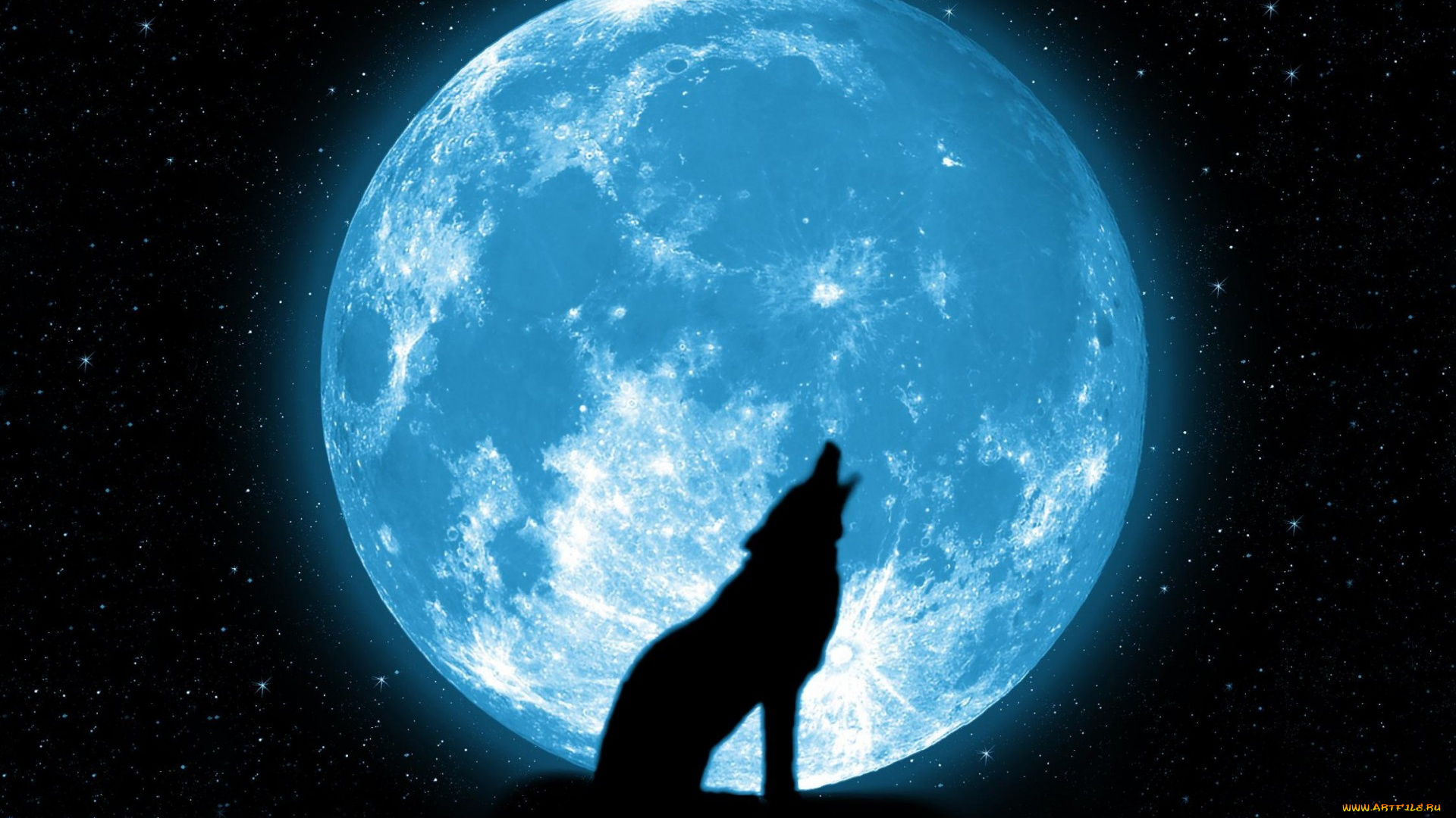разное, компьютерный, дизайн, красиво, звезды, вой, луна, волк