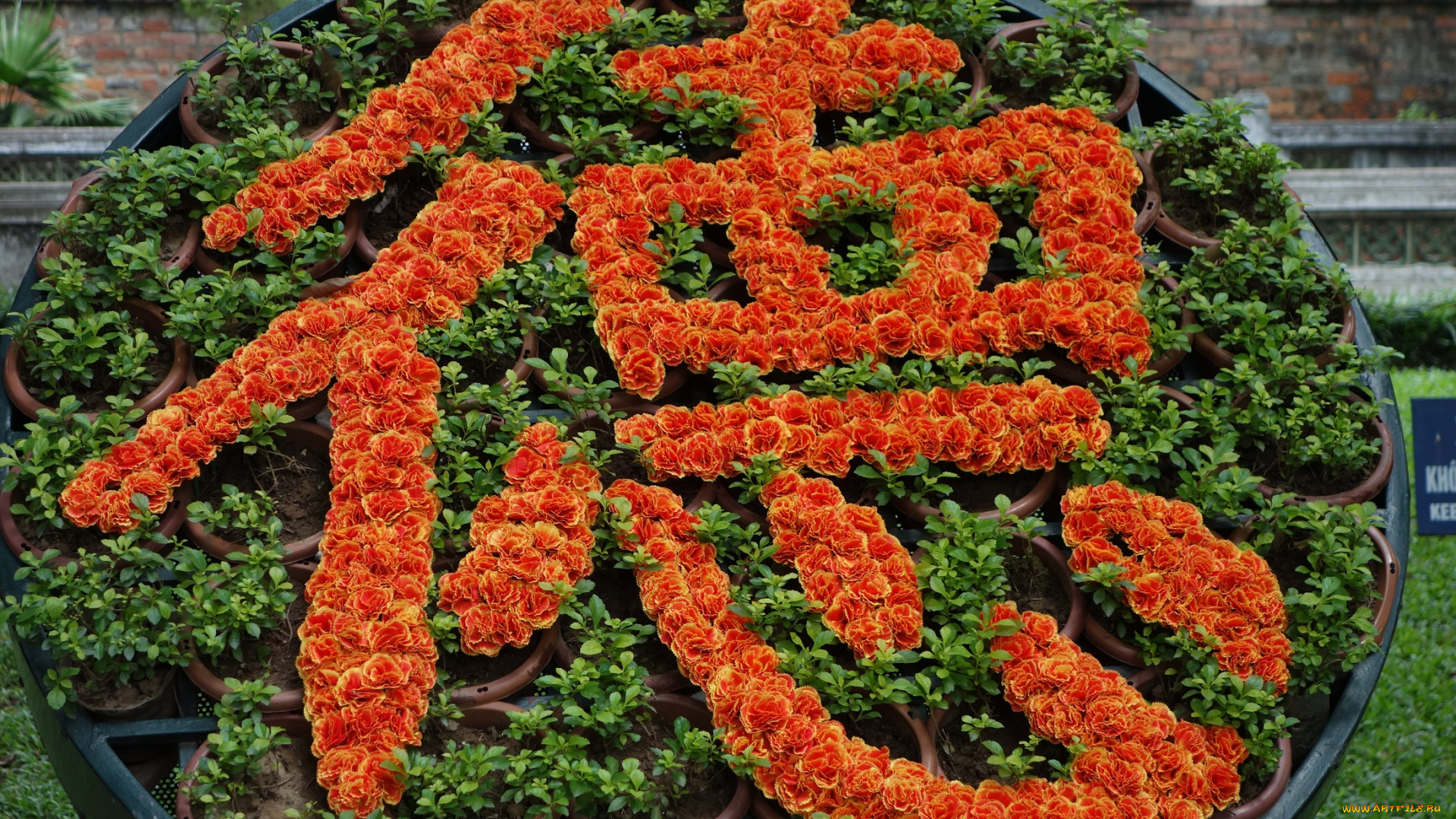 разное, садовые, и, парковые, скульптуры, иероглифы, гвоздики, композиция, цветы, горшки