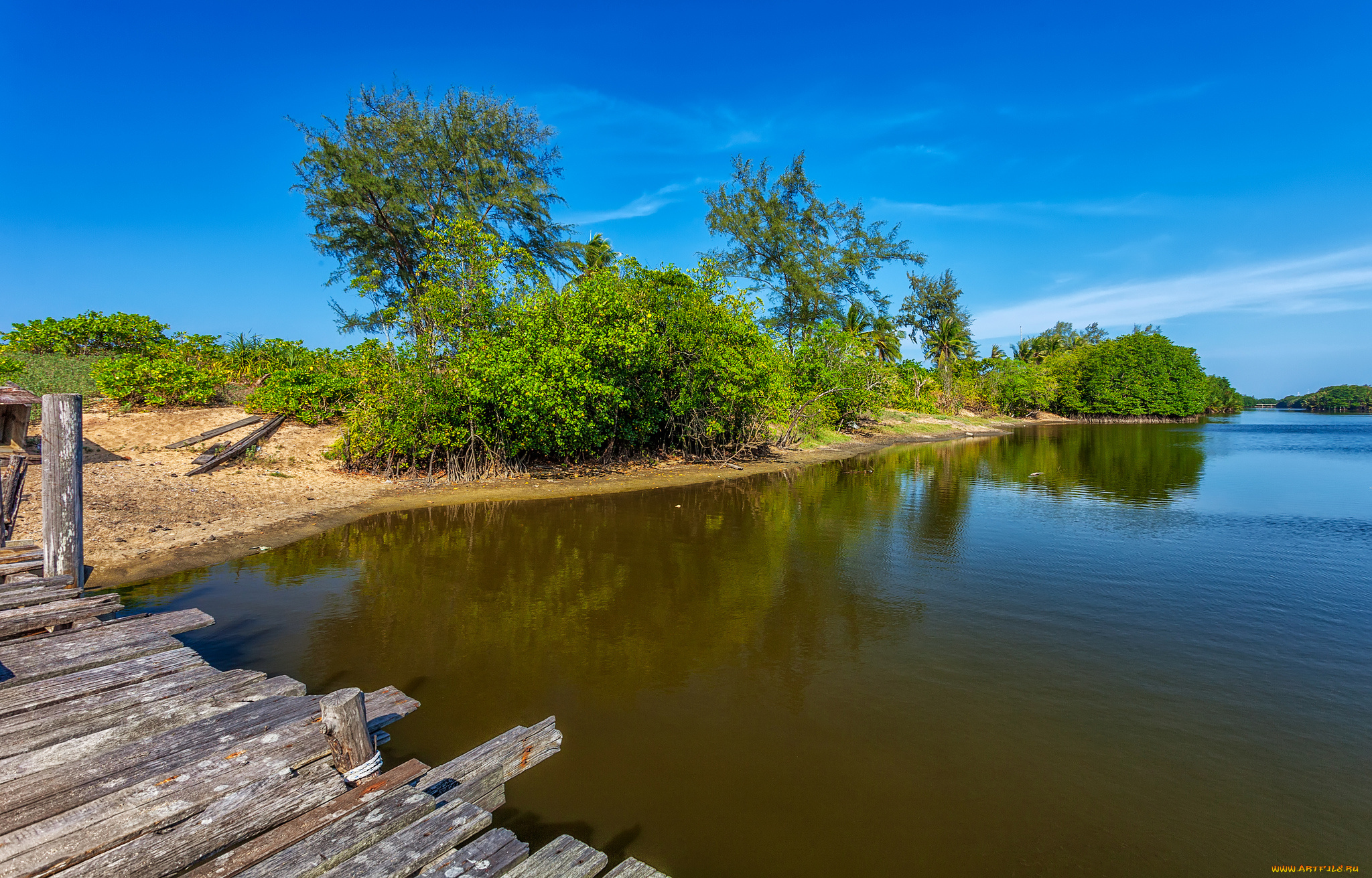 природа, реки, озера, река, лес