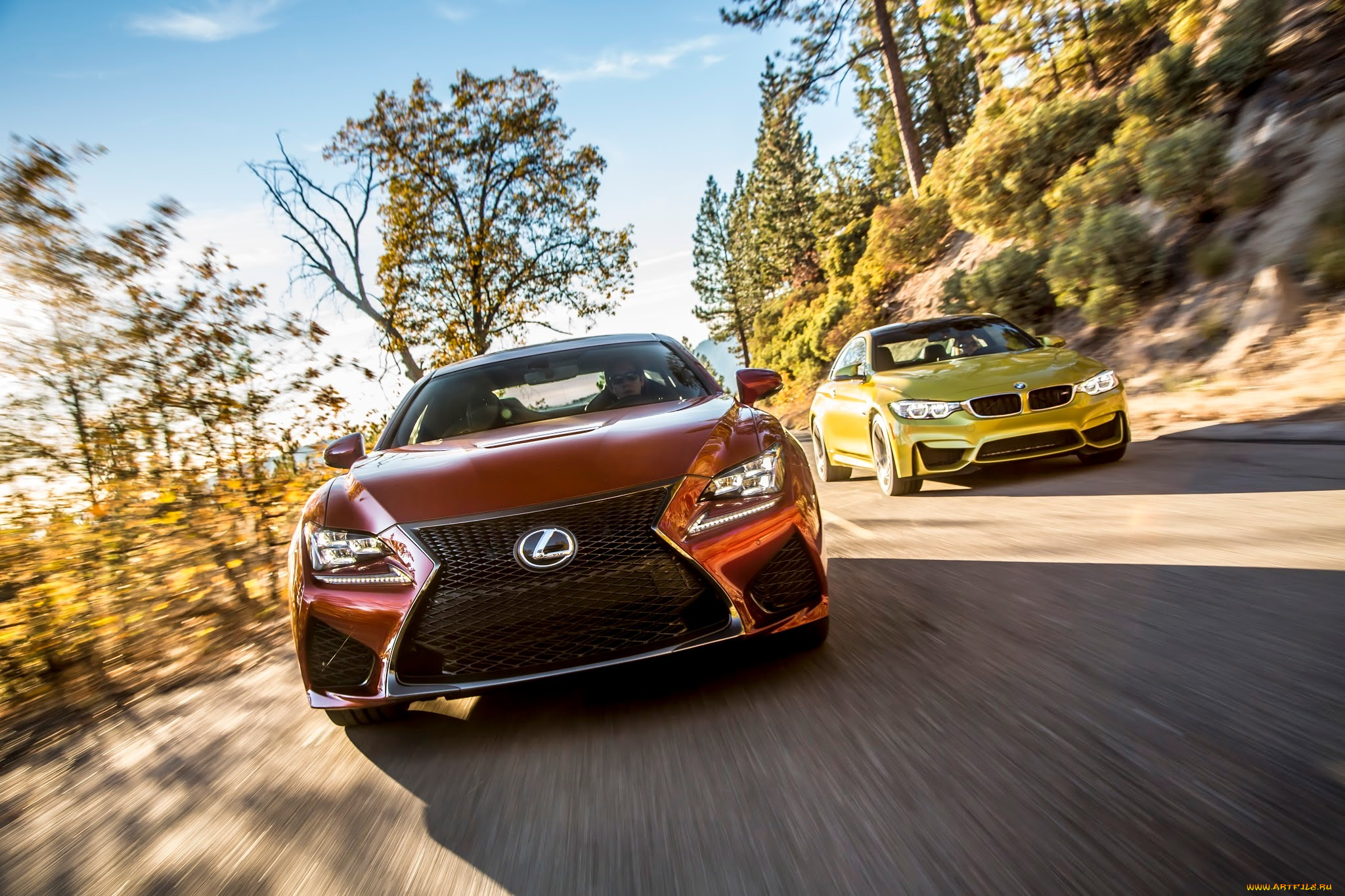 автомобили, разные, вместе, cars