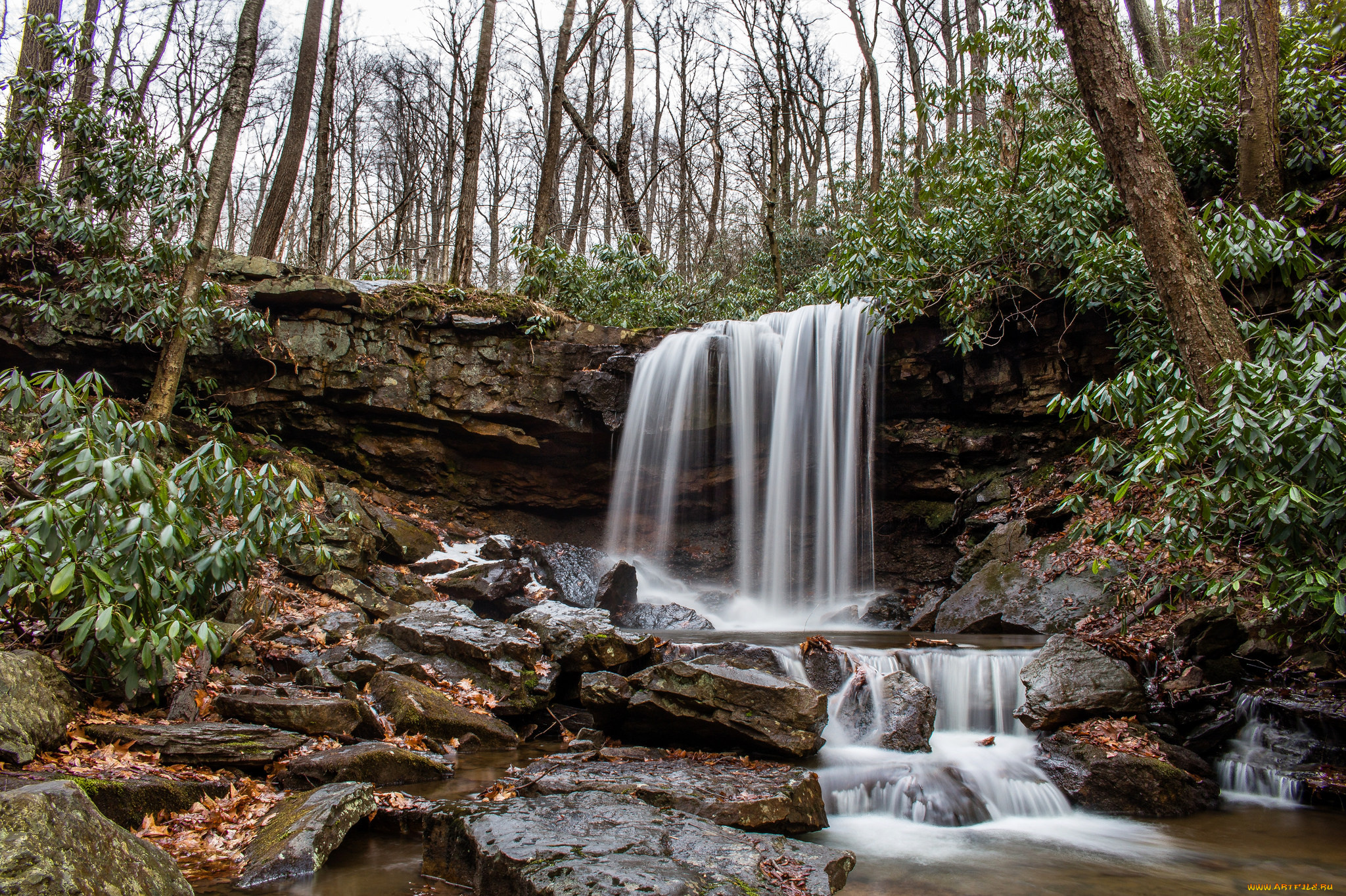 природа, водопады, водопад, река, лес