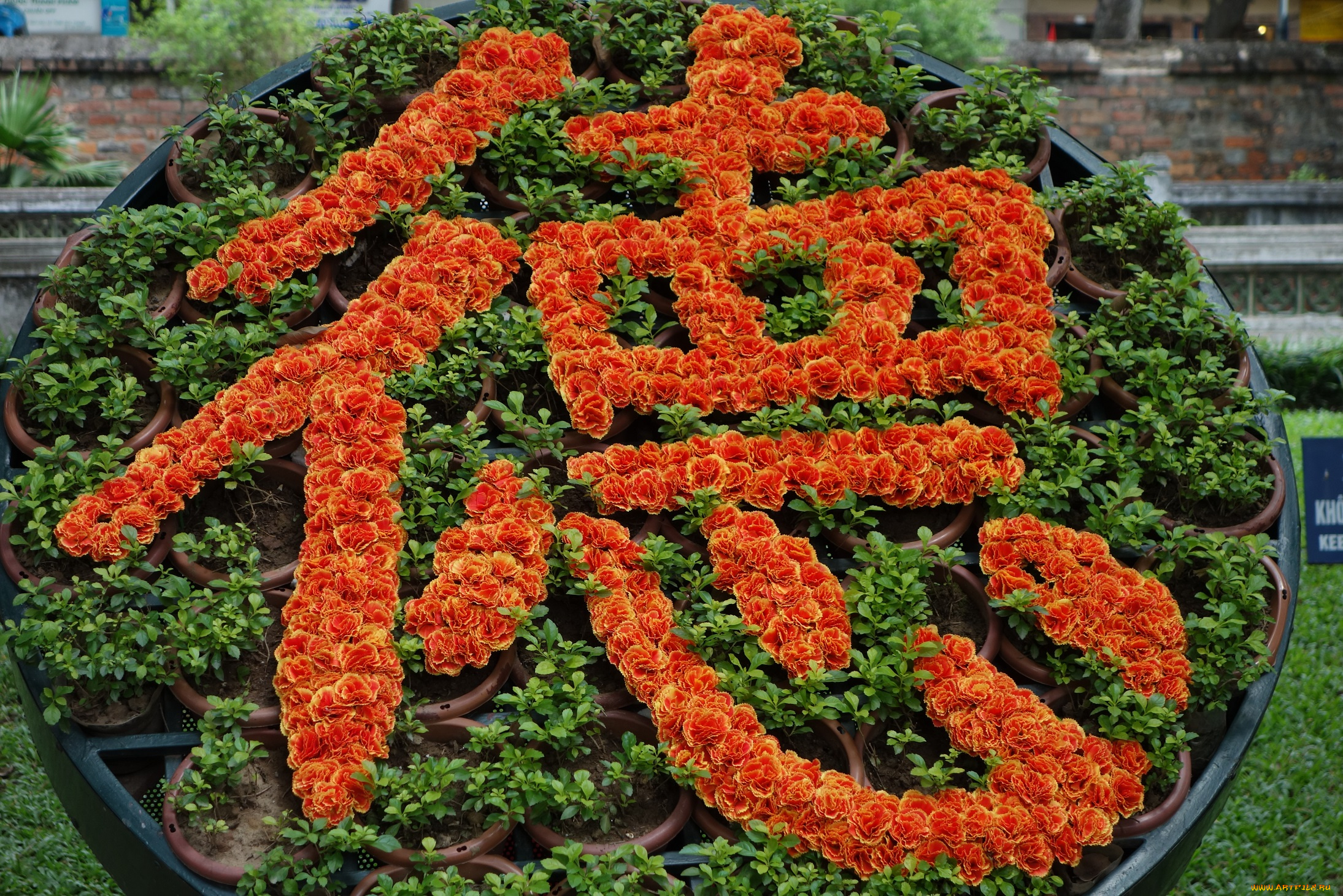 разное, садовые, и, парковые, скульптуры, иероглифы, гвоздики, композиция, цветы, горшки