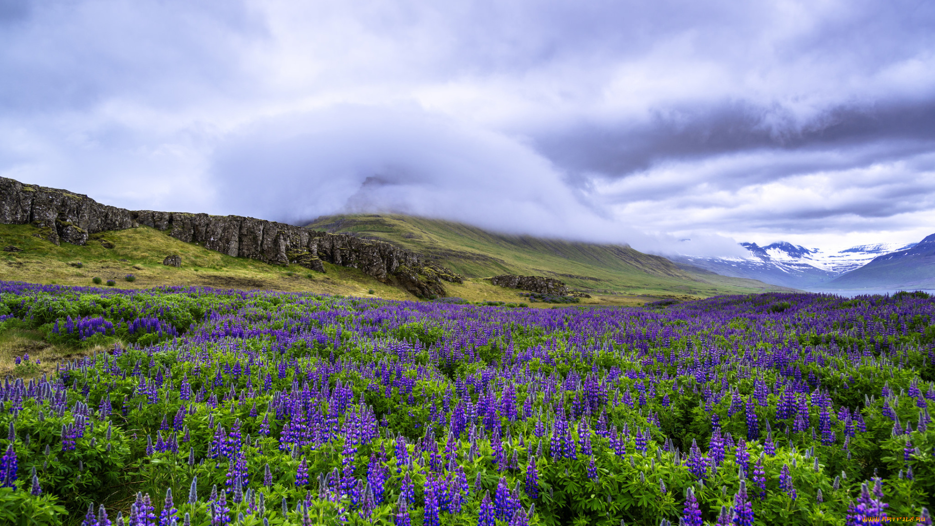 природа, пейзажи, простор