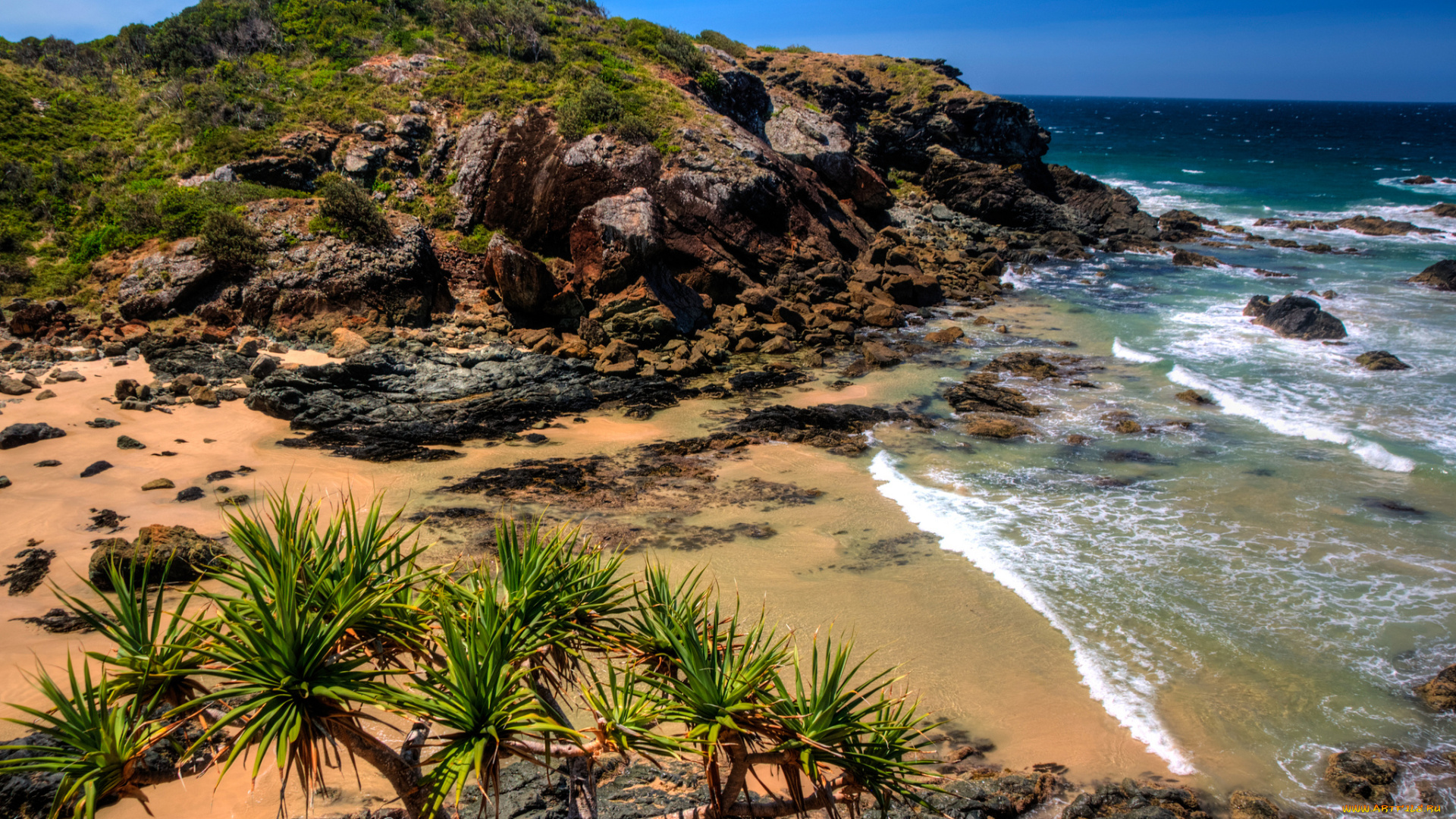 природа, побережье, море, берег