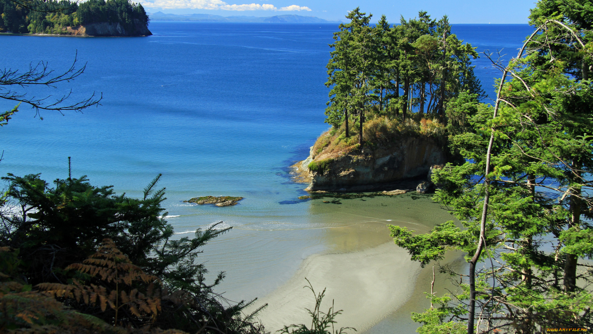 природа, побережье, море, берег