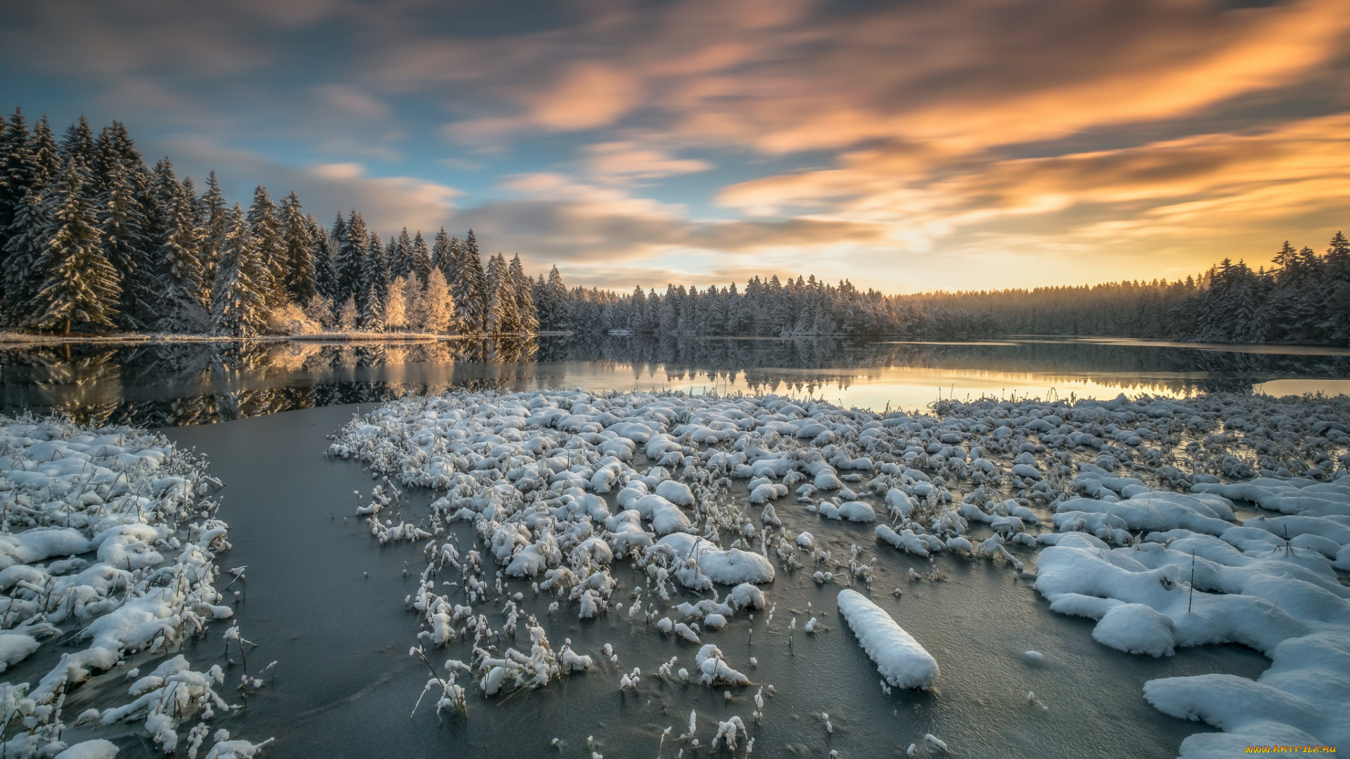 природа, побережье, море, берег
