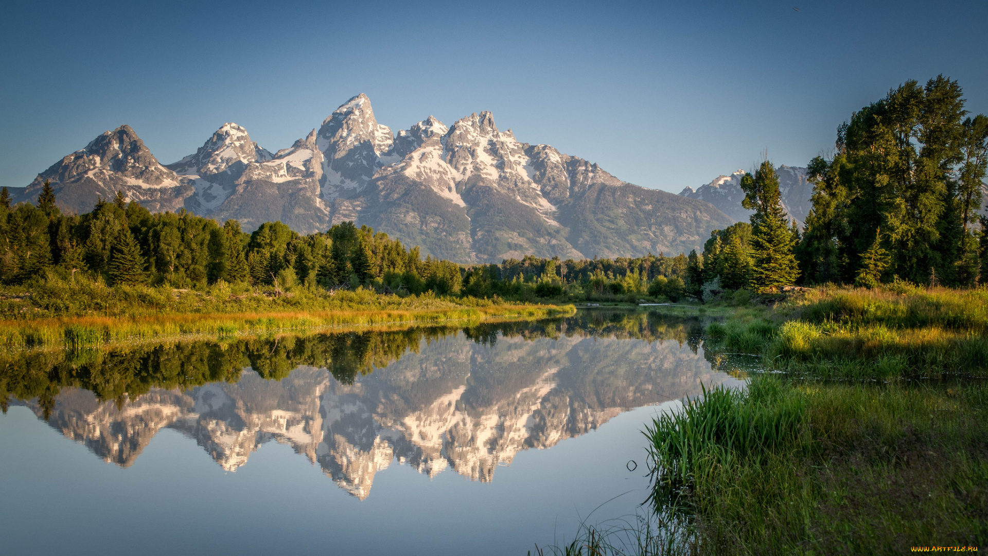 природа, реки, озера, лес, река