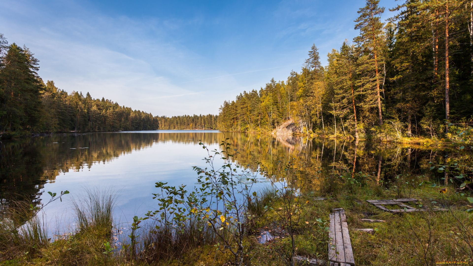 природа, реки, озера, лес, река