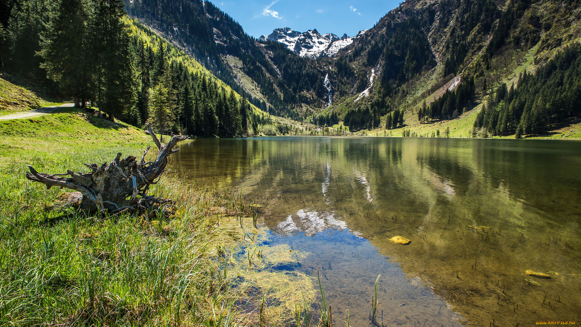 природа, реки, озера, лес, река